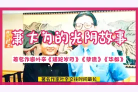 萧大为的光阴故事—著名作家叶辛《蹉跎岁月》《孽债》《华都》…视频封面