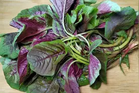 红苋菜到底要不要焯水？10个人有9个错，看完记得告知家人