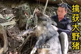 看看国外小哥这波操作怎么样？视频封面