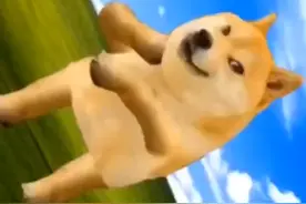 手机病毒名字视频视频封面