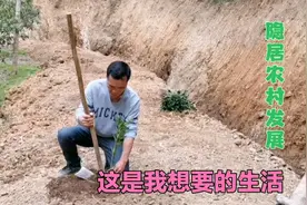 41岁大哥不再打工，隐居农村发展种植业，过着与世无争的生活视频封面