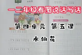 一二年级看图说话写话 第四单元 第五课 水仙花  点赞收藏吧视频封面