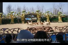 周口野生动物世界到底坑不坑？亲身体验多次的我来告诉你，中立者视频封面