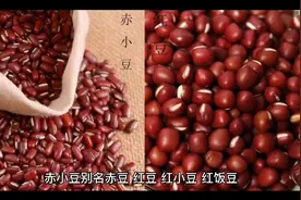 赤小豆能消肿解毒，和血排脓，适用于流行性腮腺炎及疔疮肿毒等。视频封面