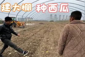 农村小伙建大棚种西瓜，今天过来参观，这轻钢骨架真结实，带劲！视频封面