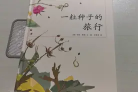 读绘本——《一粒种子的旅行》视频封面