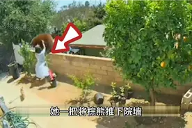 霸气，17岁女孩赤手空拳单挑三头棕熊，三头棕熊被打得落慌而逃视频封面