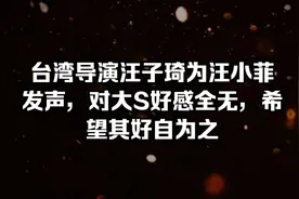 台湾导演汪子琦为汪小菲发声，对大S好感全无，希望其好自为之！视频封面