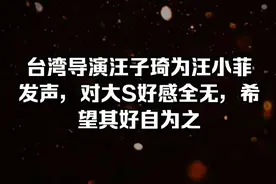 台湾导演汪子琦为汪小菲发声，对大S好感全无，希望其好自为之！视频封面