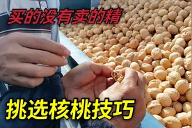 买核桃时别总挑大个的买，教你5个挑选窍门，个个饱满又香甜！视频封面