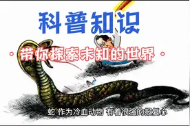 蛇进院子里预示着什么？是好事吗？视频封面