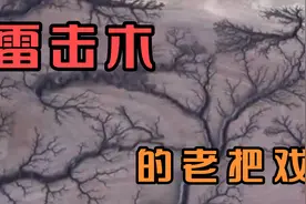 文玩圈里的老把戏，雷击木的骗局，我来说到说到视频封面