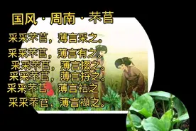 白杨讲解：《诗经•周南•芣苢》原文及赏析