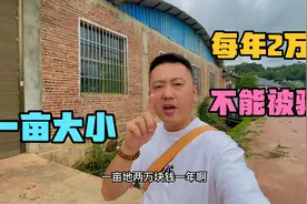 部分北方人移居西双版纳，公寓楼房堪比白菜价，周边村寨平房才2w视频封面