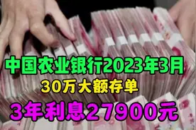 中国农业银行2023年3月最新存款：30万大额存单，3年利息27900元视频封面