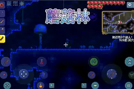 泰拉瑞亚蘑菇林一般在哪里视频封面