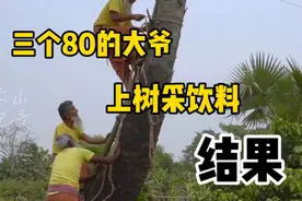 80多岁的非洲大爷上树采饮料，没想到如此受欢迎视频封面