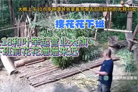 6.18和叶举起营业大旗，花花下班前终于露脸，还是谭爷爷接回家的视频封面