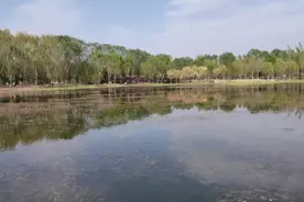 人类的历史是一部战争史。