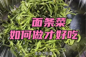 面条菜的家常做法 你吃过吗？视频封面