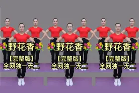 全网最火健身操《野花香》跟着就会跳 早晚30分钟 瘦腰瘦腿瘦全身