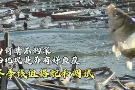 为何冬季晴不钓深，西北风是否会有好鱼获，冬季线组搭配和调试视频封面