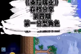 《泰拉瑞亚》存档分享第四期-第一分型角色视频封面