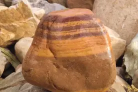 这些石头算是奇石吗，每一块上面都有条纹，有收藏的价值吗视频封面