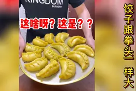 盘点南北方互换美食！东北那边的饺子跟拳头一样大？真的是绝了！视频封面