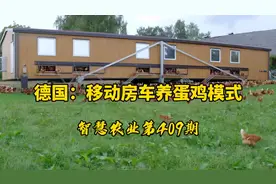 智慧农业409期：德国移动房车养鸡技术！智能化喂料、下蛋、除粪视频封面
