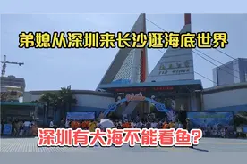 弟媳从深圳来长沙，带孩子们逛海底世界，门票150元逛2小时值得吗视频封面