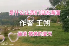 赏读经典散文《是什么让我泪流满面》，王朔作品，打动心灵的文章视频封面