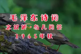 毛泽东诗词《念奴娇•鸟儿问答》视频封面
