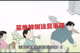 墓地种树的注意事项有哪些呢？视频封面