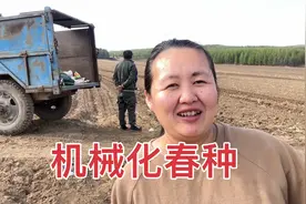 东北农村忙春种，宁爸雇车播种笨玉米，机械化点籽省力不少视频封面