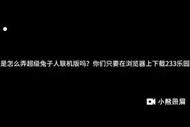 233乐园，超级兔子人联机版