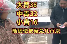 小龙虾最新价格，大青38，中青32，小青16，农户随随便便就是几百