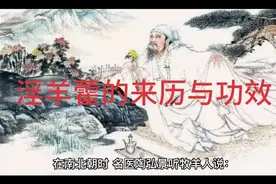 淫羊藿又名仙灵脾视频封面