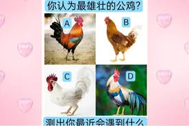 心理测试：你认为哪只公鸡最强壮，测你最近会遇到什么？视频封面