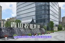 青山逼空后续：有关部门要求银行上报海外风险情况。视频封面
