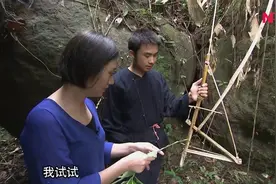 小伙儿自制老鼠夹，无需诱饵，威力巨大，可将树枝夹断！视频封面