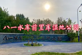 长春八一水库前置库湿地公园，位于城南大路，初见雏形，期待未来视频封面