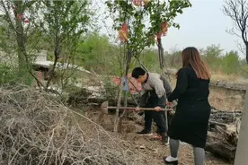 二妮带孩子给母亲做饭，二妮说了句奶奶什么话，孩子给妈妈急眼了视频封面