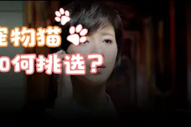 完美的女友视频封面