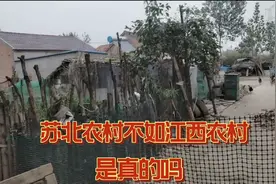 江苏苏北农村真的比江西差吗？看完此视频你就明白了，真不差视频封面