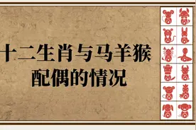 十二生肖与马羊猴配偶的情况视频封面