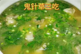 鬼针草的三种做法，四川叫豆渣菜像我这样做好吃又下饭，味道巴适视频封面
