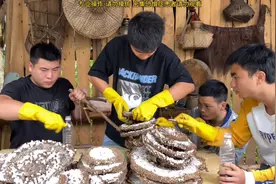 今天下雨，拐哥给大家讲解取回来的蜂窝怎么处理