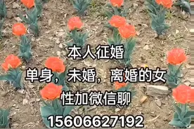 本人真诚征婚视频封面