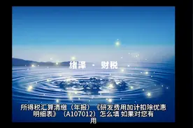 汇算清缴（年报） 研发费用加计扣除优惠明细表A107012极简说明视频封面